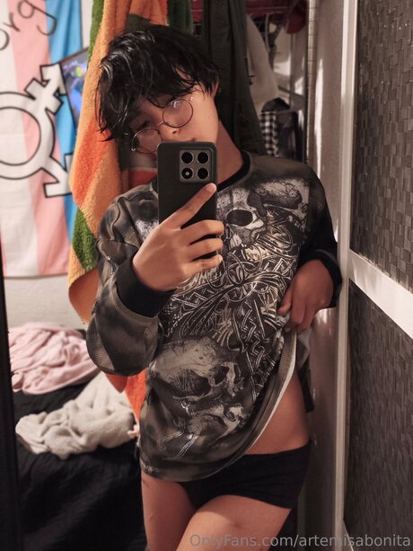 Artemisabonita 高品質モデル 画像