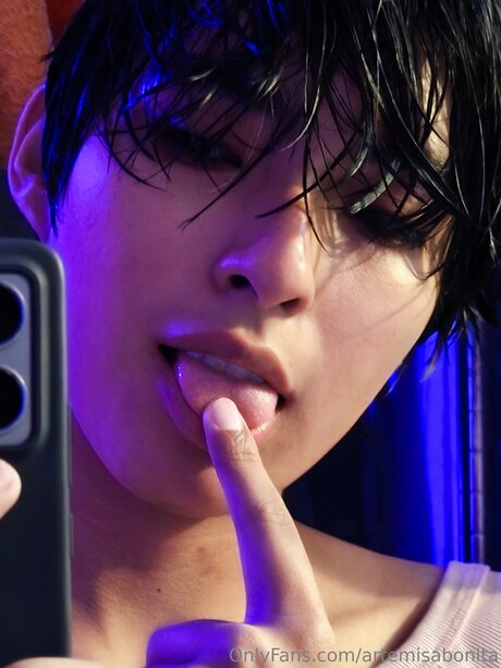 Artemisabonita ホットスター 写真