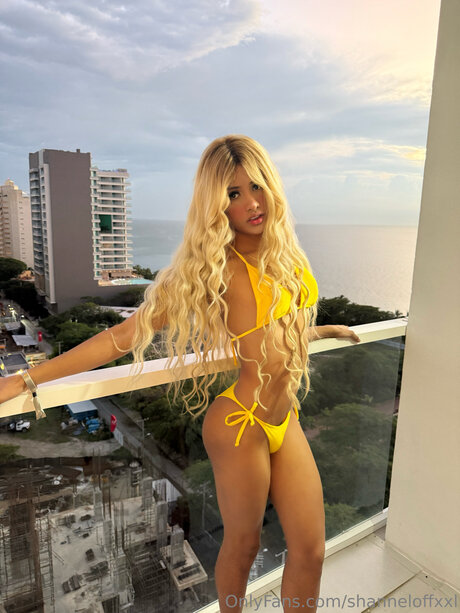 Shanneloffxxl ポルノ女優 画像