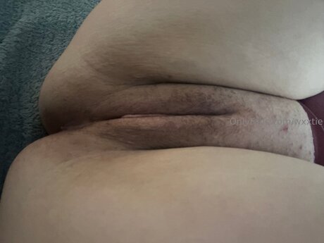 Wxxtie 最高のポルノスター 写真