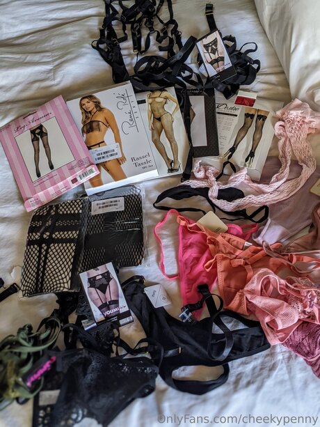 Cheekypenny セクシーモデル アーカイブ