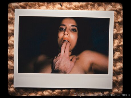 Thecarnalcamera 素敵なスター 写真