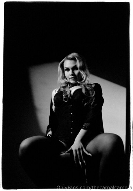 Thecarnalcamera ポルノスター アート 画像