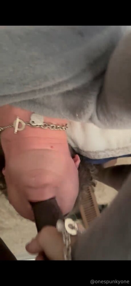 Onespunkyone 無料女優 画像