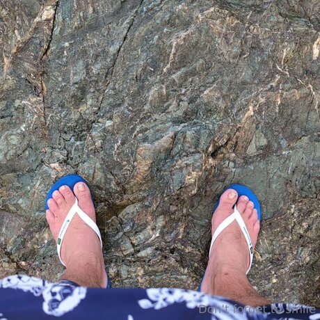 Jimmytrigger 美しいポルノスター 写真