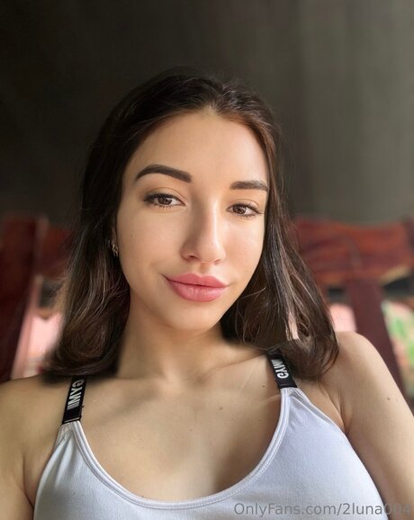 2luna004 アートスター 写真