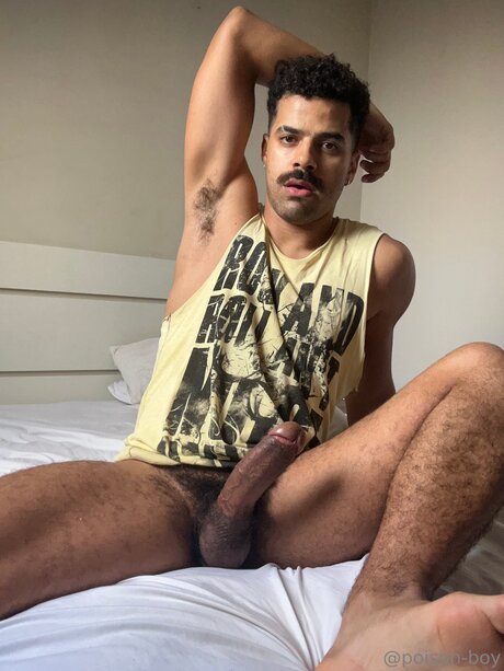 Poison Boy ポルノ女優 画像