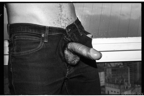 Poison Boy 素敵なモデル 写真