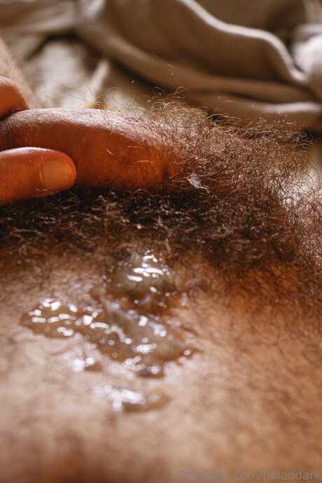 Fallandark スターセックス 画像