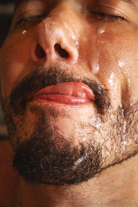 Fallandark xxxスター 画像