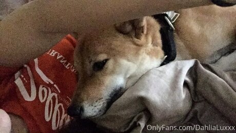 ワークアウト オンリーファンズ ホットヌード 画像