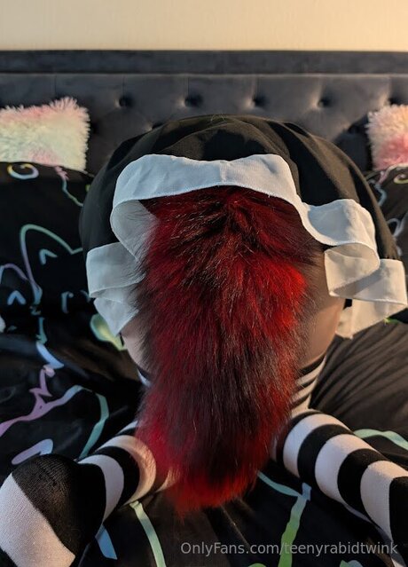 Teenyrabidtwink アートモデル アーカイブ