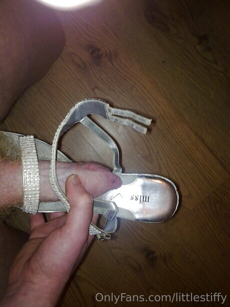 Littlestiffy 最高のポルノスター ギャラリー