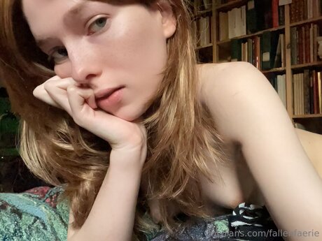 Fallenfaeri 美しいスター 写真