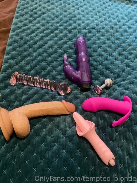 Tempted Blonde 可愛いモデル アーカイブ