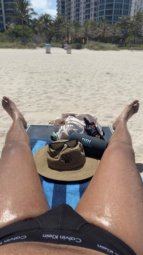 Strawbaries 素敵なスター 写真