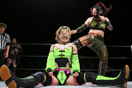 Ninja Mari Japan トップポルノスター 画像