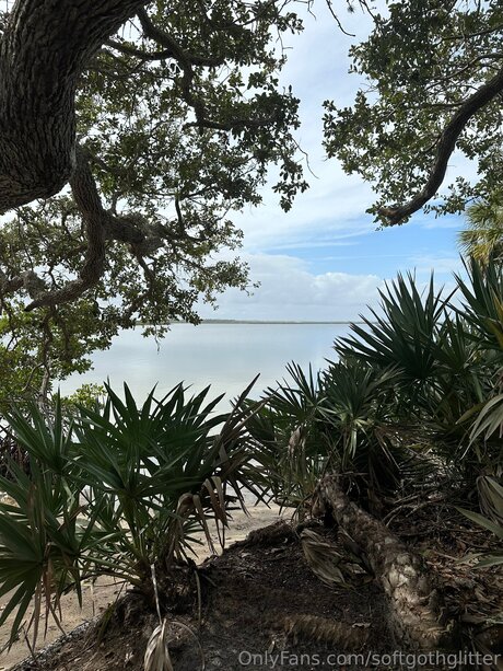 ブラジルの巨乳オンリーファンズ HD 写真