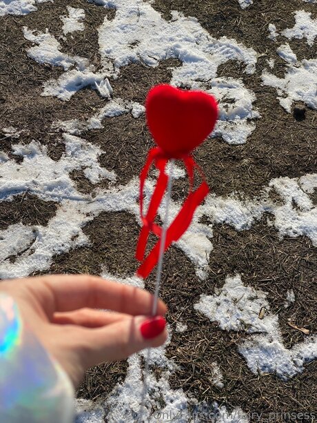 Fairy Prinsess 美しいスター 写真