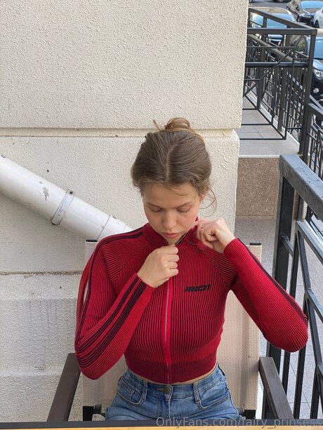 Fairy Prinsess HDモデル 画像