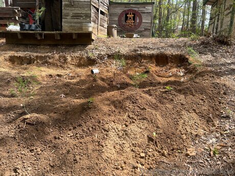 Xxgoldilocksxx スター xxx 画像