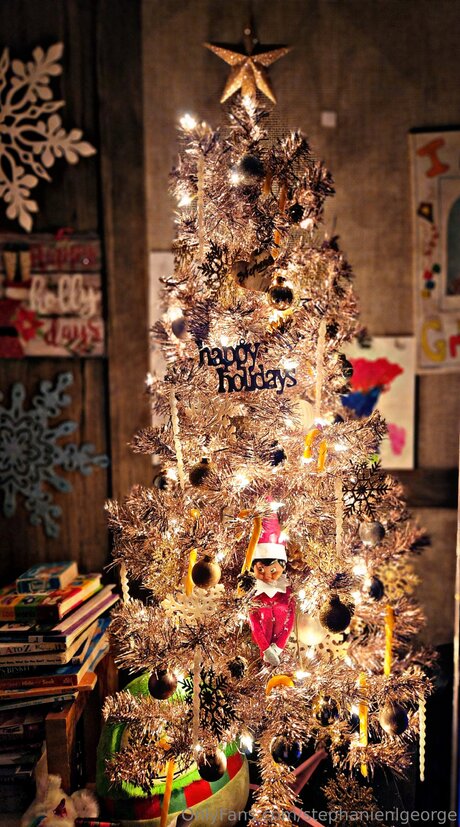 Stephanienlgeorge 無料女優 写真