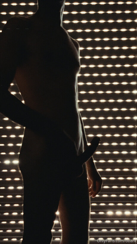 Obark スター xxx 画像