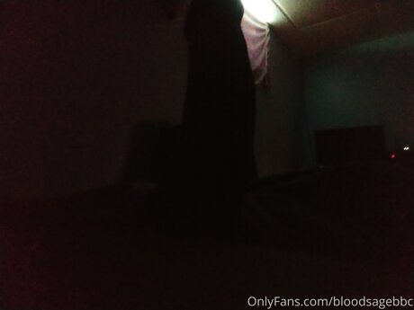 Bloodsagebbc 裸のモデル 画像