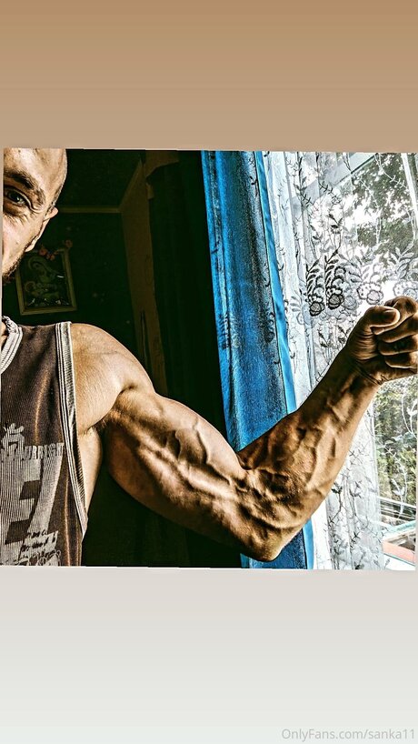 Alexfox2021 セックススター 写真