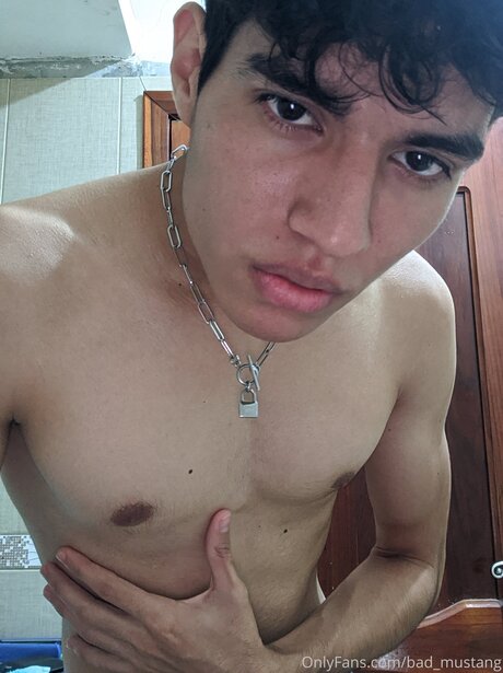 Bad Mustang かわいいスター 写真