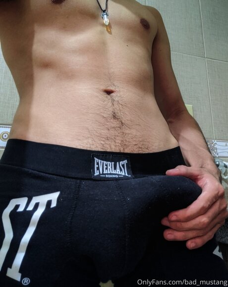 Bad Mustang かわいいポルノスター 画像