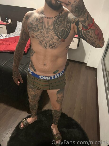 Nicoink ポルノスター アート 写真