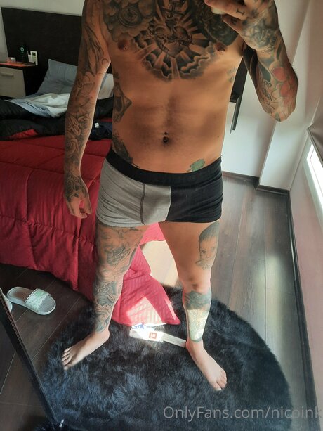 Nicoink 美しいスター 画像