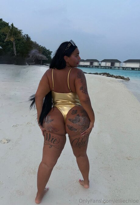 Elliechloe ポルノスター パーフェクト 写真