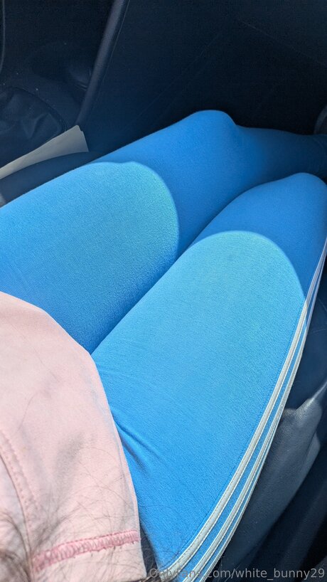 White Bunny29 モデル 画像