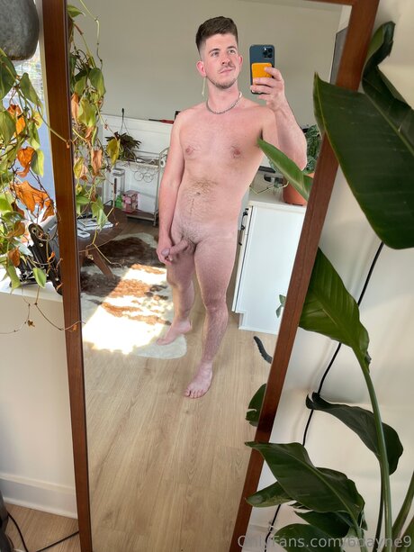 Hoosier Daddy X アートスター 画像