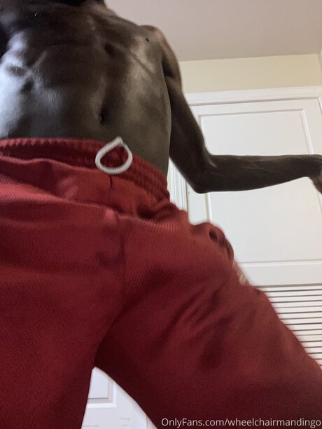 Wheelchairmandingo トップモデル 写真