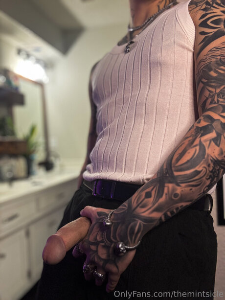 Themintsicle トップモデル 画像