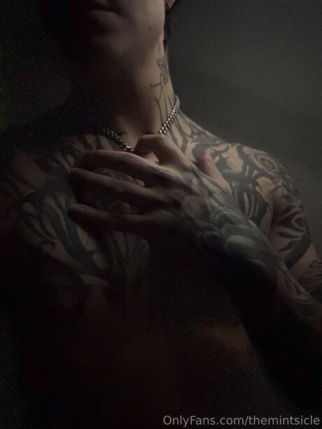 Themintsicle エロティック女優 画像