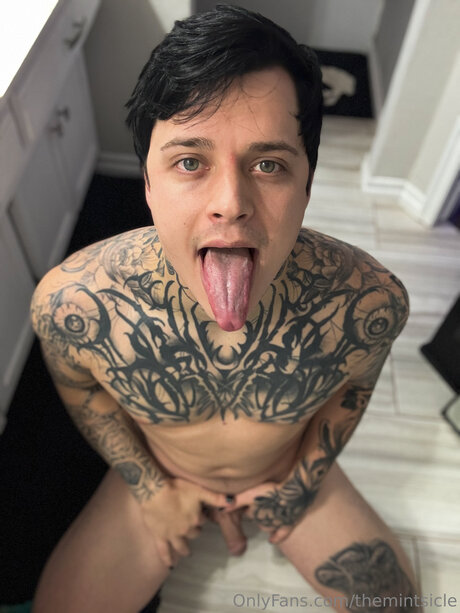 Themintsicle ポルノモデル 画像