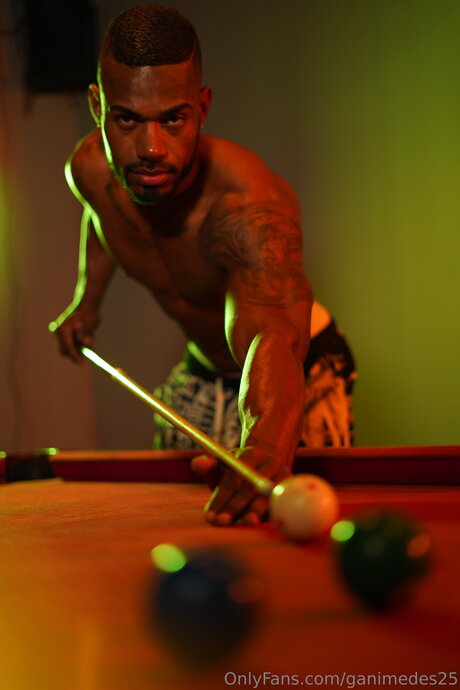 Ganimedes25 高品質モデル 画像