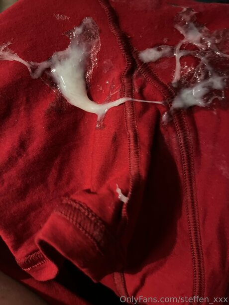 Steffen Xxx 高品質女優 写真