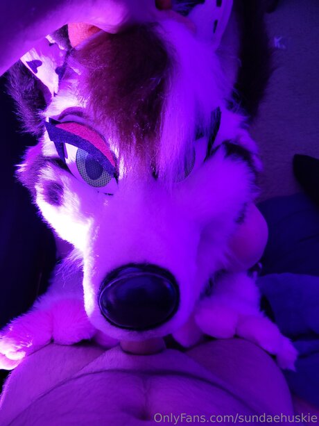 Sundaehuskie スターセックス 写真