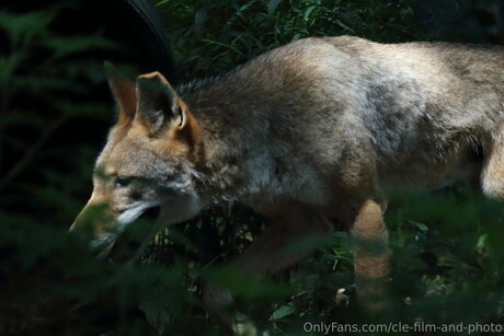 アウトドア 熟女 オンリーファンズ ホットセクシー ギャラリー