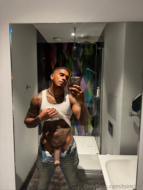 Tsinclair アートモデル 写真