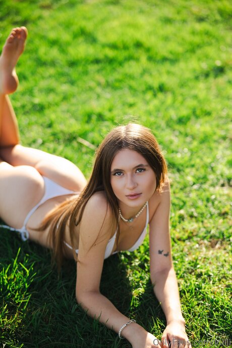 Lollli HDモデル 画像