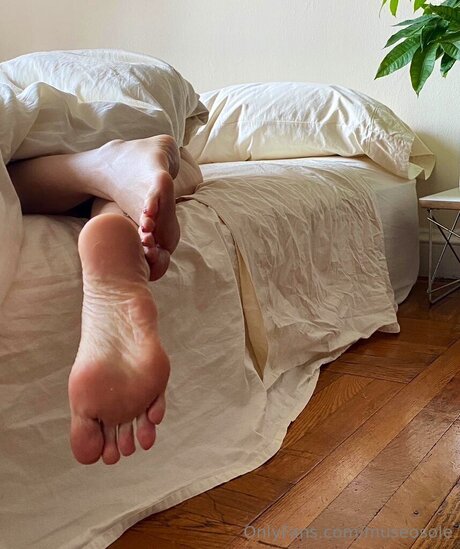 Museosole ポルノスター HD 画像