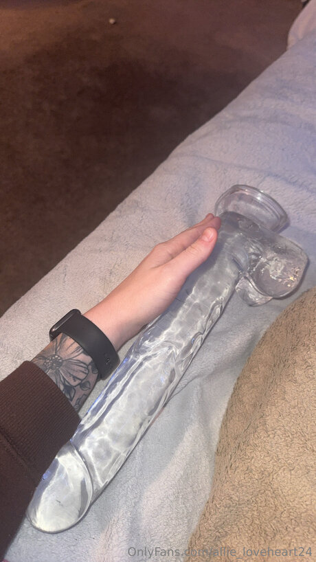 Allie Loveheart24 素敵なポルノスター 写真