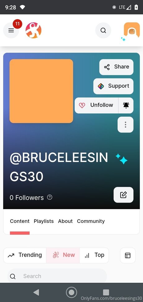 Bruceleesings30 エロティックなポルノスター ギャラリー