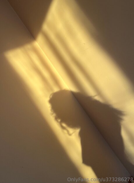 U373286278 完璧なスター ギャラリー